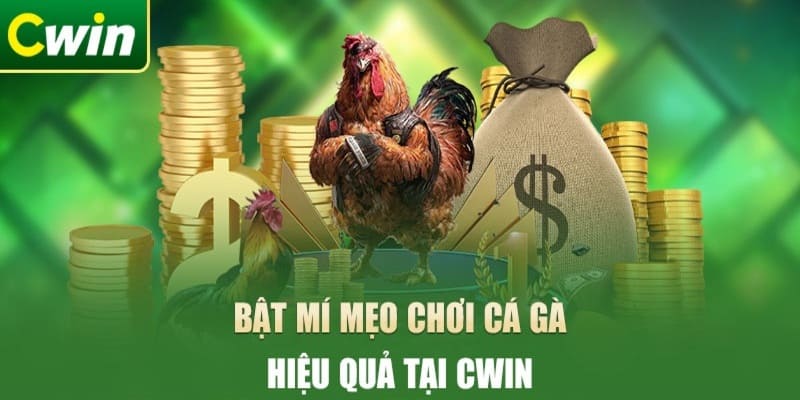 Nắm rõ mẹo chơi hay khi tham gia đầu tư