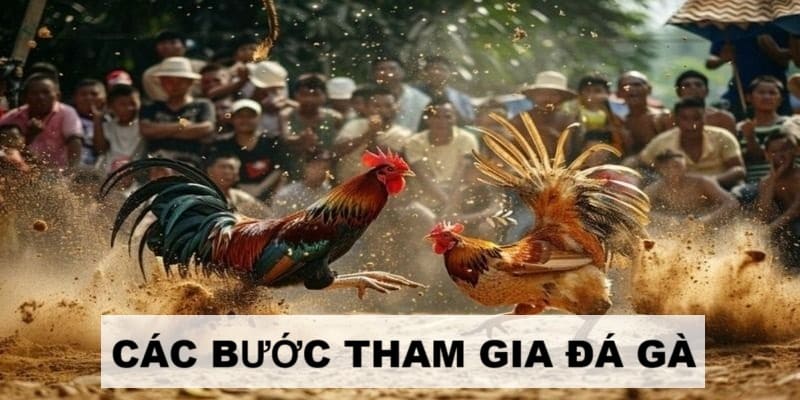 Trải nghiệm giải trí trong 3 bước đơn giản