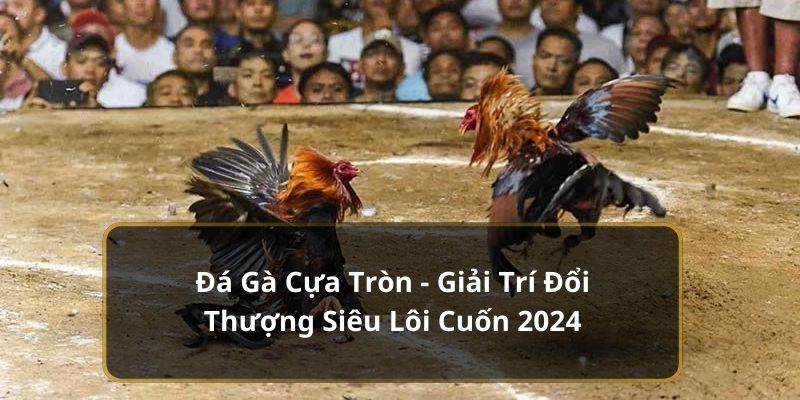 Đá Gà Cựa Tròn